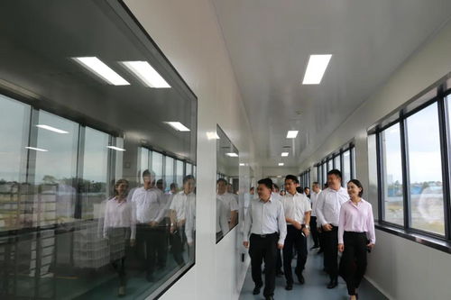 省市場監(jiān)管局局長萬鵬龍調(diào)研我市食品安全工作要求 壓實主體責任加強監(jiān)管力度